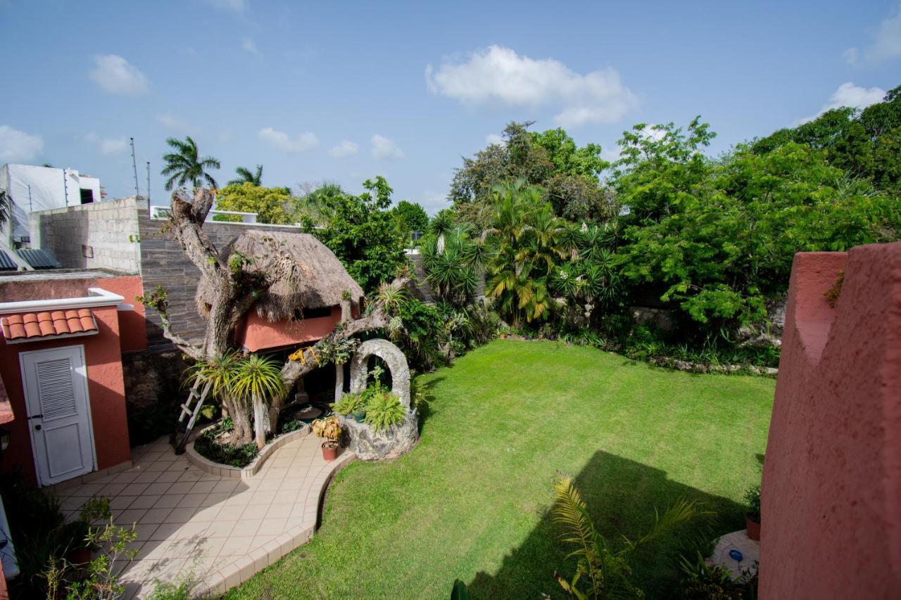 Budgies Cozumel Exterior photo