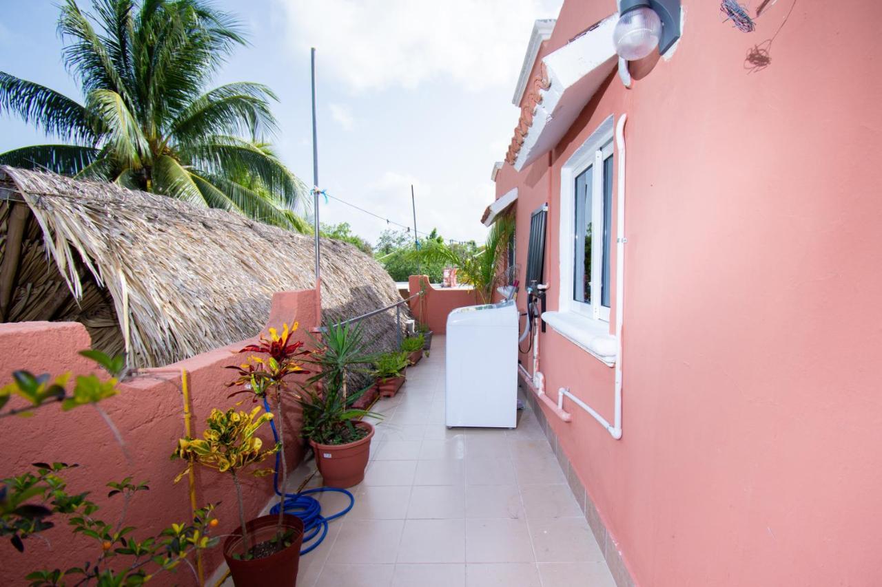 Budgies Cozumel Exterior photo